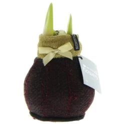 Bulbe D'amaryllis Dans Les Chaussettes D'hiver "fashion Elegant" Or-rouge