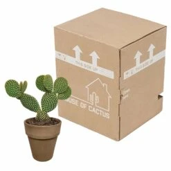 Opuntia Microdasys Et Son Cache-pot Marron - H40cm, ø17cm - Plante D'intérieur -Magasin De Graines De Plantes 48d55715481eec9b