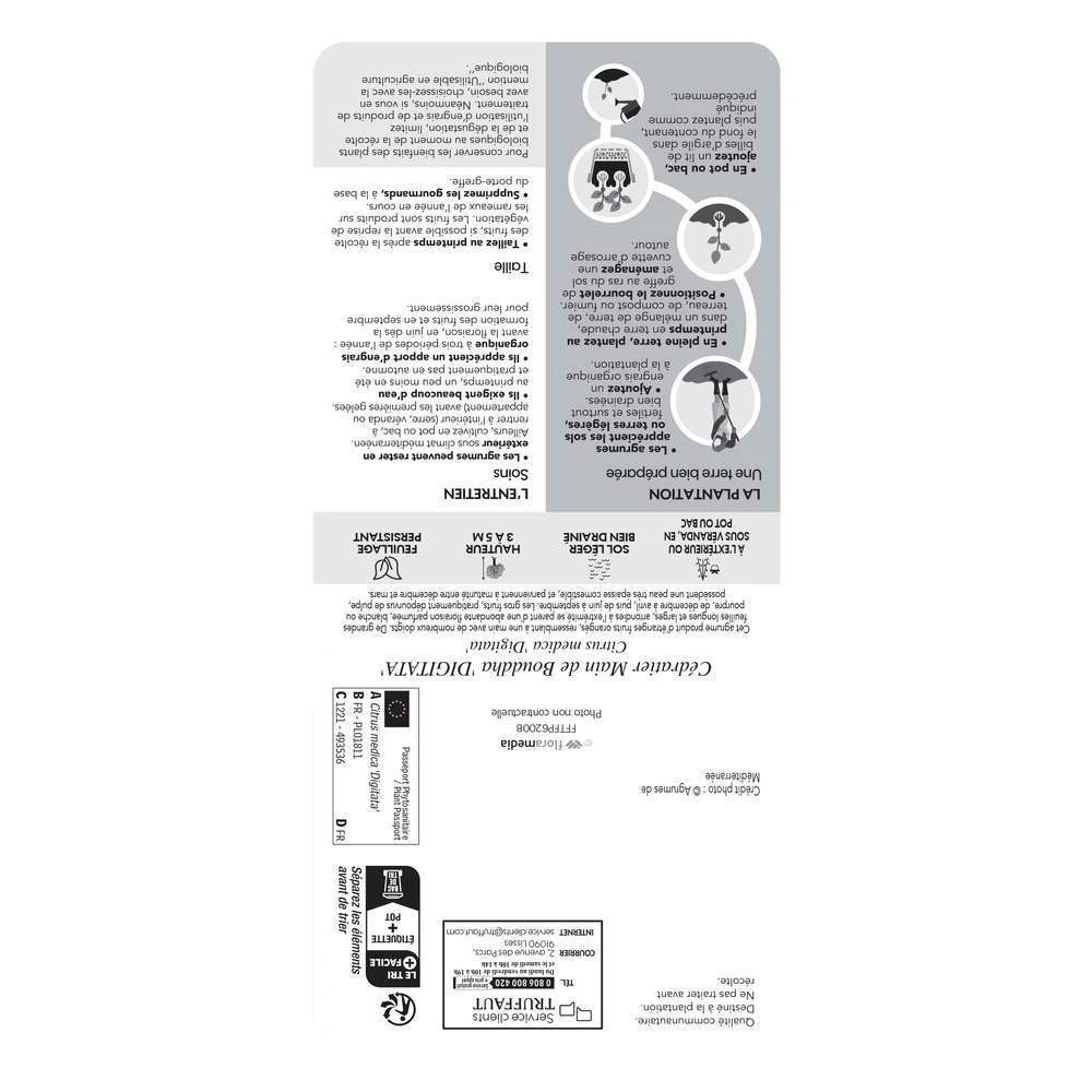 Main De Bouddah:AB Conteneur 3 Litres 3 Main De Bouddah:AB Conteneur 3 Litres – Image 3