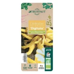 Main De Bouddah:AB Conteneur 3 Litres