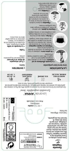 Lavandula Angustifolia Anna : C. 3L -Magasin De Graines De Plantes 510699 005