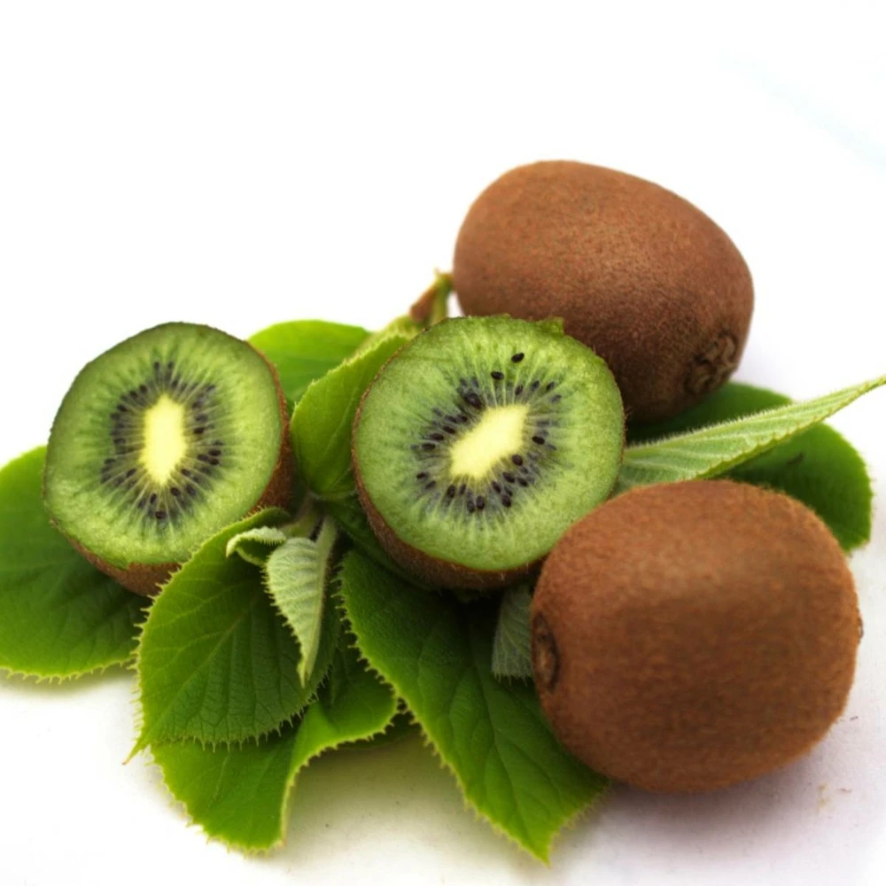 Kiwi Chinensis Solo (autofertile)/pot De 3l - 60/120 Cm 1 Kiwi Chinensis Solo (autofertile)/pot De 3l - 60/120 Cm