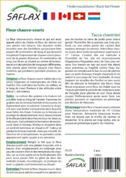 Kit De Culture - Fleur Chauve-souris - 10 Graines - Tacca Chantrieri -Magasin De Graines De Plantes 64063aa2e09686.92559263