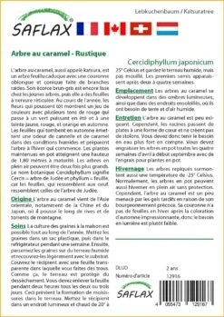 Kit De Culture - Arbre Au Caramel - 200 Graines - Cercidiphyllum Japonicum 9 Kit De Culture - Arbre Au Caramel - 200 Graines - Cercidiphyllum Japonicum -Magasin De Graines De Plantes 64064132c9d4c4.04855019
