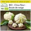 Kit De Culture - Bio - Chou-fleur - Boule De Neige - 70 Graines - Brassica Oleracea Var. Botrytis