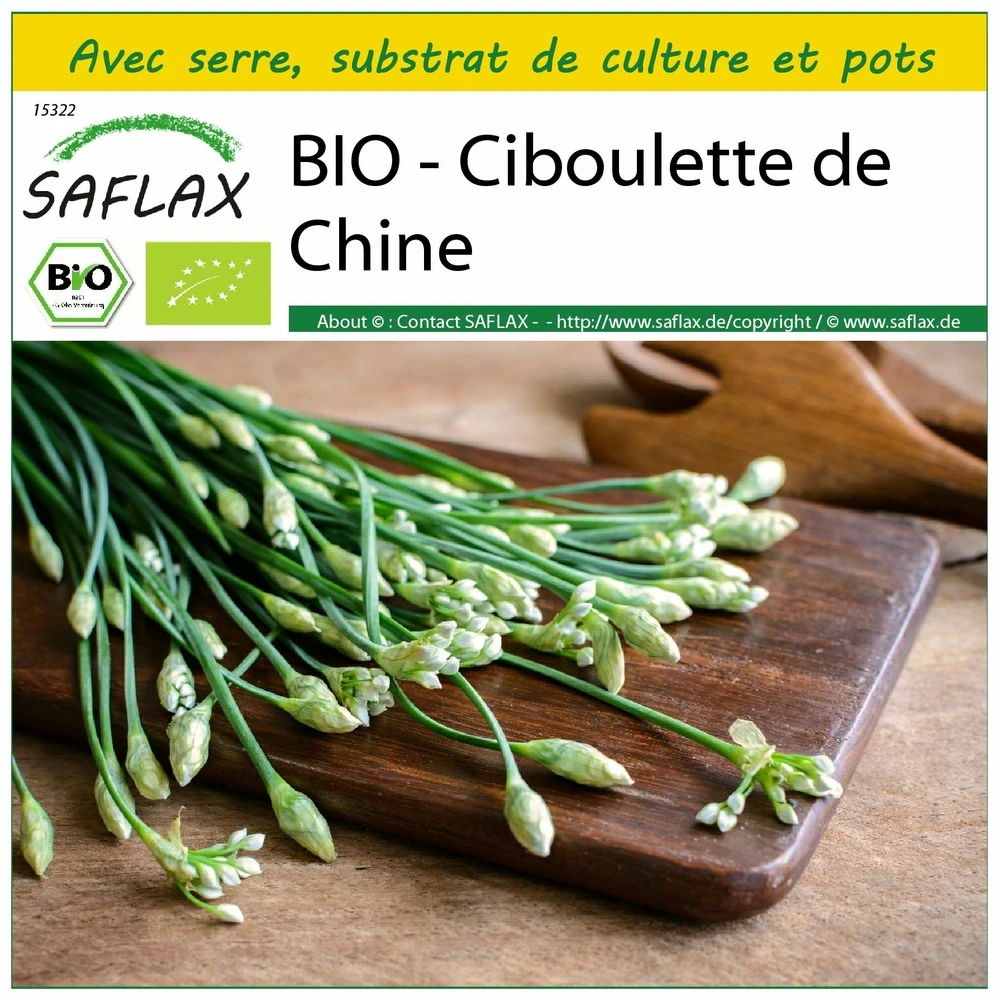 Kit De Culture - Bio - Ciboulette De Chine - 100 Graines - Allium Tuberosum 1 Kit De Culture - Bio - Ciboulette De Chine - 100 Graines - Allium Tuberosum