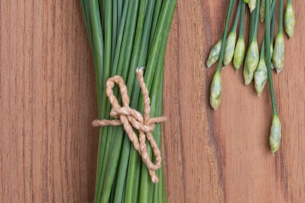 Kit De Culture - Bio - Ciboulette De Chine - 100 Graines - Allium Tuberosum 6 Kit De Culture - Bio - Ciboulette De Chine - 100 Graines - Allium Tuberosum – Image 6