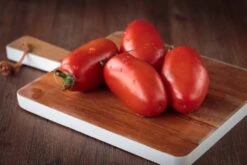 Kit De Culture - Bio - Tomate - San Marzano - 15 Graines - Solanum Lycopersicum -Magasin De Graines De Plantes 6406416b4f7255.16851216