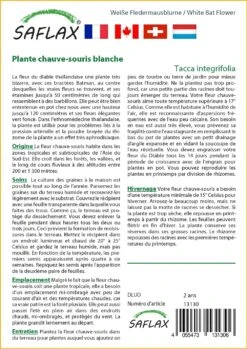 Kit De Culture - Plante Chauve-souris Blanche - 10 Graines - Tacca Integrifolia 6 Kit De Culture - Plante Chauve-souris Blanche - 10 Graines - Tacca Integrifolia -Magasin De Graines De Plantes 6406417d60c3a0.37345696