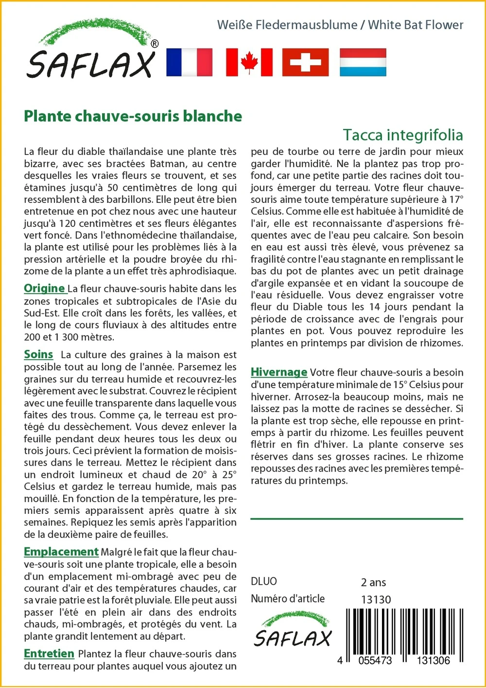 Kit De Culture - Plante Chauve-souris Blanche - 10 Graines - Tacca Integrifolia 3 Kit De Culture - Plante Chauve-souris Blanche - 10 Graines - Tacca Integrifolia – Image 3