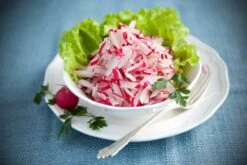 Kit De Culture - Bio - Radis - Cherry Bell - 100 Graines - Raphanus Sativus -Magasin De Graines De Plantes 640641a656fec4.35520788