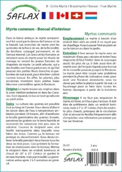 Kit De Culture - Myrte Commun - 30 Graines - Myrtus Communis -Magasin De Graines De Plantes 640641b38ab843.99066445
