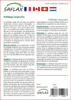 Kit De Culture - Solidage Verge D'or - 100 Graines - Solidago Virgaurea 6 Kit De Culture - Solidage Verge D'or - 100 Graines - Solidago Virgaurea -Magasin De Graines De Plantes 640641b4d55022.73382482
