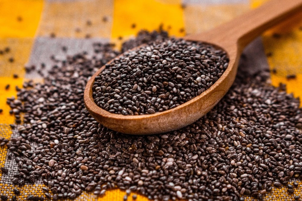 Kit De Culture - Bio - Sauge - 60 Graines - Salvia Officinalis 7 Kit De Culture - Bio - Sauge - 60 Graines - Salvia Officinalis – Image 7