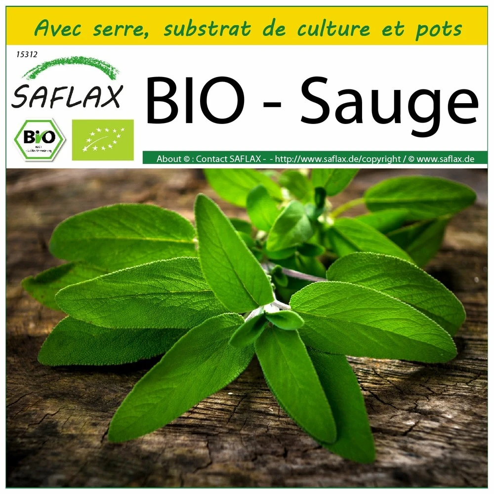 Kit De Culture - Bio - Sauge - 60 Graines - Salvia Officinalis 1 Kit De Culture - Bio - Sauge - 60 Graines - Salvia Officinalis