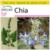 Kit De Culture - Chia - 500 Graines - Salvia Hispanica