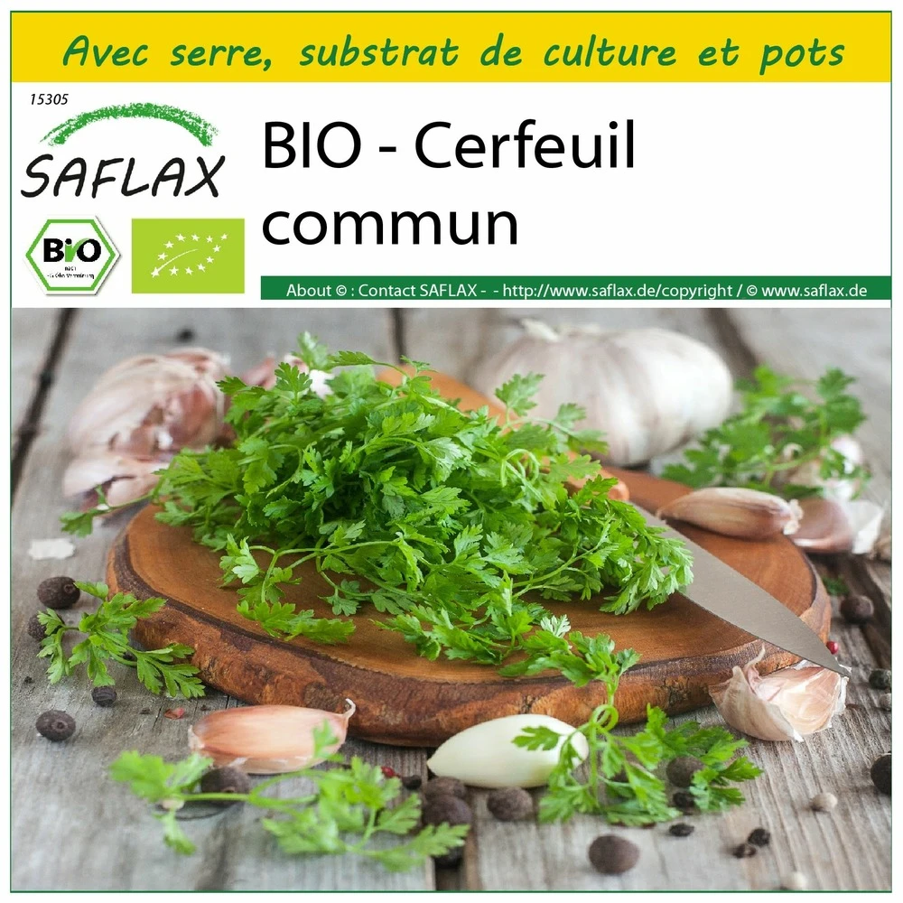 Kit De Culture - Bio - Cerfeuil Commun - 800 Graines - Anthriscus Cerefolium 1 Kit De Culture - Bio - Cerfeuil Commun - 800 Graines - Anthriscus Cerefolium