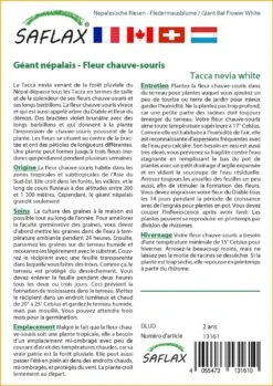 Kit De Culture - Géant Népalais - Fleur Chauve-souris - 10 Graines - Tacca Nevia White -Magasin De Graines De Plantes 640641cb3c2931.45314096