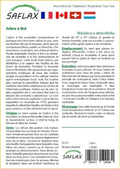 Kit De Culture - Arbre à Thé - 400 Graines - Melaleuca Alternifolia -Magasin De Graines De Plantes 640641cc772c91.95778072