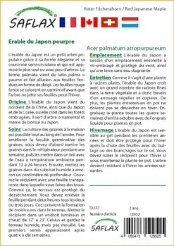 Kit De Culture - Erable Du Japon Pourpre - 20 Graines - Acer Palmatum Atropurpureum -Magasin De Graines De Plantes 640641d837b750.91534800