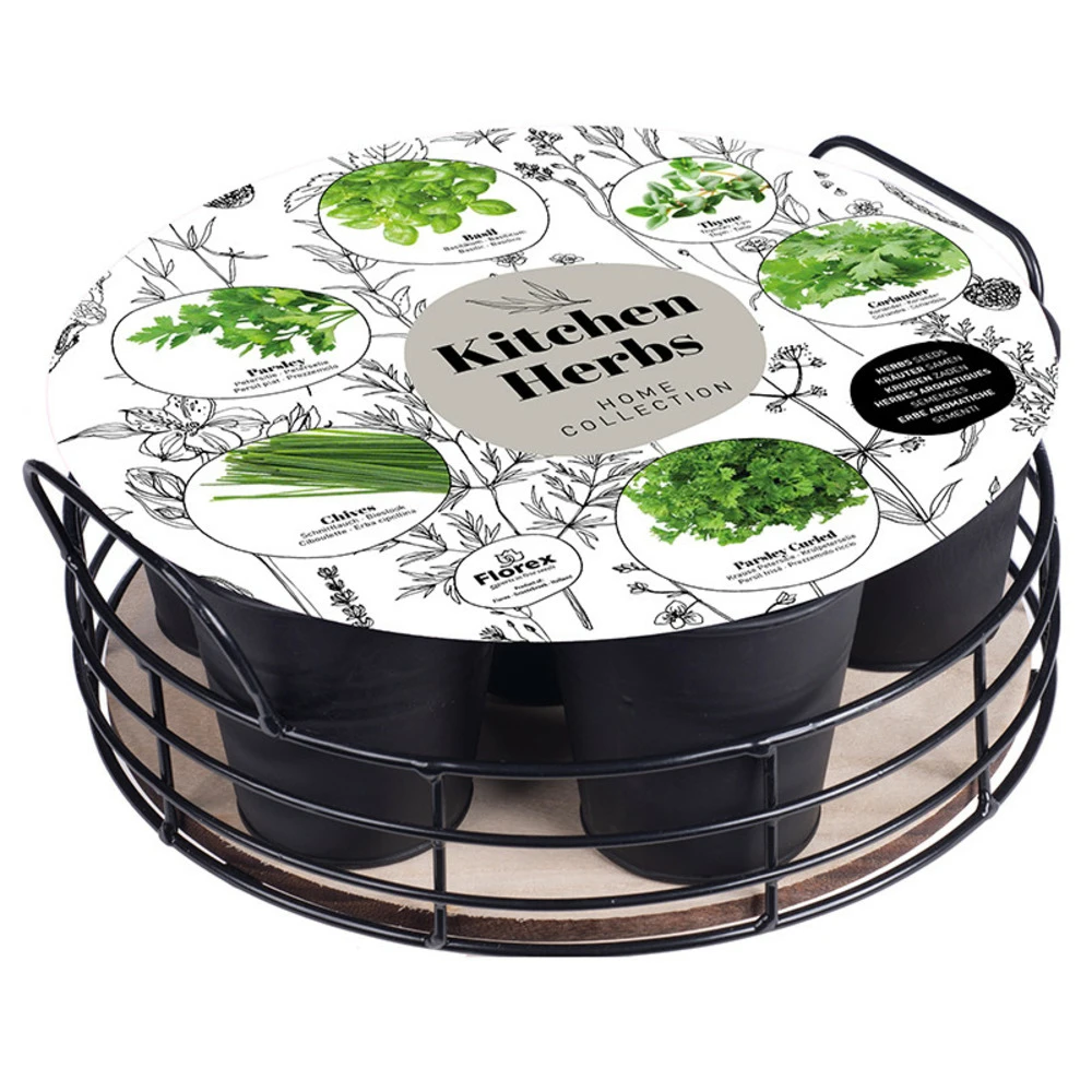 Plateau 6 Herbes Aromatiques Noir Mat 1 Plateau 6 Herbes Aromatiques Noir Mat