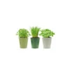 3 Pots D'herbes Aromatiques