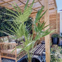 Magasin De Graines De Plantes 8 Magasin De Graines De Plantes -Magasin De Graines De Plantes 640b20387cbca8.56196349