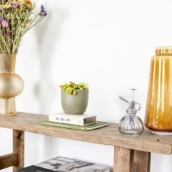 Dionaea Muscipula – Plante Carnivore – Peu D'entretien – ⌀12 Cm – ↕10-15 Cm 7 Dionaea Muscipula – Plante Carnivore – Peu D'entretien – ⌀12 Cm – ↕10-15 Cm -Magasin De Graines De Plantes 640b20a5e78e48.00125916