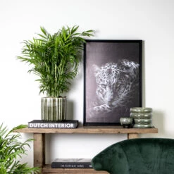 Chamaedorea Elegans - Palmier Nain Mexicain - Purificateur D'air – ⌀17 Cm - ↕50-60 Cm -Magasin De Graines De Plantes 640b21045e72a5.33117055