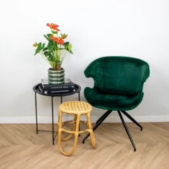 Anthurium 'aristo' Orange - Plante Flamingo - Entretien Facile - ⌀14 Cm - ↕45-55 Cm -Magasin De Graines De Plantes 640b783c3548d8.40389046