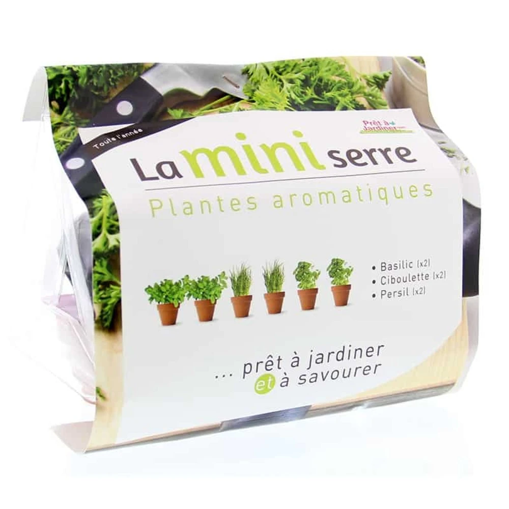 Mini Serre Herbes Aromatiques 1 Mini Serre Herbes Aromatiques