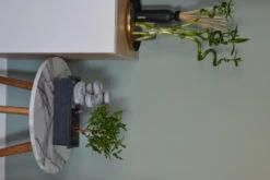 Set Bonsaï Et Cascade-pierres - Support L.30cm- H.25-30cm -Magasin De Graines De Plantes 6422e176c936d7.62659362