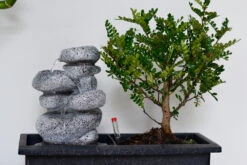 Set Bonsaï Et Cascade-pierres - Support L.30cm- H.25-30cm -Magasin De Graines De Plantes 6422e176e22588.29286272