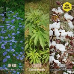 Coffret De Semences Textile Tissus Etoffe Et Fil -Magasin De Graines De Plantes 642d66ace6f211.93606402