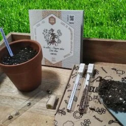 Coffret De Semences Textile Tissus Etoffe Et Fil -Magasin De Graines De Plantes 642d66acef9529.41293408