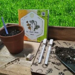 Coffret De Semences Médicinales Aromatique Apéritifs Régionaux -Magasin De Graines De Plantes 645a39a7621da9.71396115