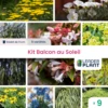 Kit Pour Balcon / Terrasse Au Soleil - Lot De 9 Plants En Godet