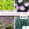Kit Fleuri Dry & Design Garden 4 Variétés - Lot De 8 Plants En Godet