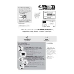 Géranium Zonale 'Sunrise® Fernando' Label Rouge : 10 Plants 9 Géranium Zonale 'Sunrise® Fernando' Label Rouge : 10 Plants -Magasin De Graines De Plantes 697186 005