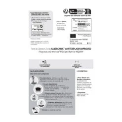 Géranium Zonale Americana® White Splash Improved'Label Rouge:10 Plants -Magasin De Graines De Plantes 697188 1761607