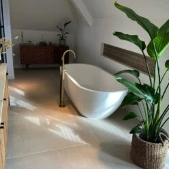 Strelitzia Nicolai Xxl - H180cm, ø24cm - Très Grande Plante D'intérieur 7 Strelitzia Nicolai Xxl - H180cm, ø24cm - Très Grande Plante D'intérieur -Magasin De Graines De Plantes 6d77142b60f1d341