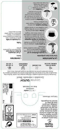 Lavande X Intermedia Dutch Lavander Pot 3L 6 Lavande X Intermedia Dutch Lavander Pot 3L -Magasin De Graines De Plantes 739237 002