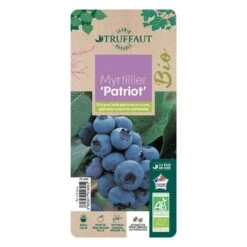 Myrtillier 'Patriot' Bio : Pot De 1,5 Litres -Magasin De Graines De Plantes 791605 005