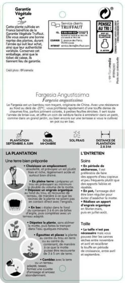 Bambou Non-traçant Fargesia Angustissima: Pot De 5 Litres -Magasin De Graines De Plantes 825296 007