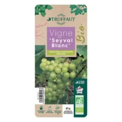 Vigne 'Seyval Blanc' AB - Pot 1,5 L 6 Vigne 'Seyval Blanc' AB - Pot 1,5 L -Magasin De Graines De Plantes 827056 002