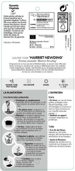Nerium Oleander Harriet Newding' Pot 5L -Magasin De Graines De Plantes 827681 003