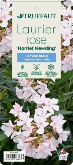 Nerium Oleander Harriet Newding' Pot 5L -Magasin De Graines De Plantes 827681 004