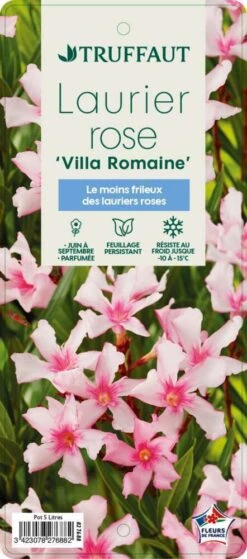 Nerium Oleander Villa Romaine' Pot 5L