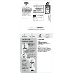 Framboisier Groovy®'Jdeboer005':pot 5L 9 Framboisier Groovy®'Jdeboer005':pot 5L -Magasin De Graines De Plantes 831270 1432924