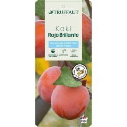 Kaki 'Rouge Brillant 1/2T Pot 15L -Magasin De Graines De Plantes 952752 002